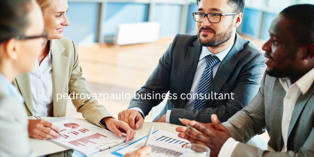 pedrovazpaulo business consultant