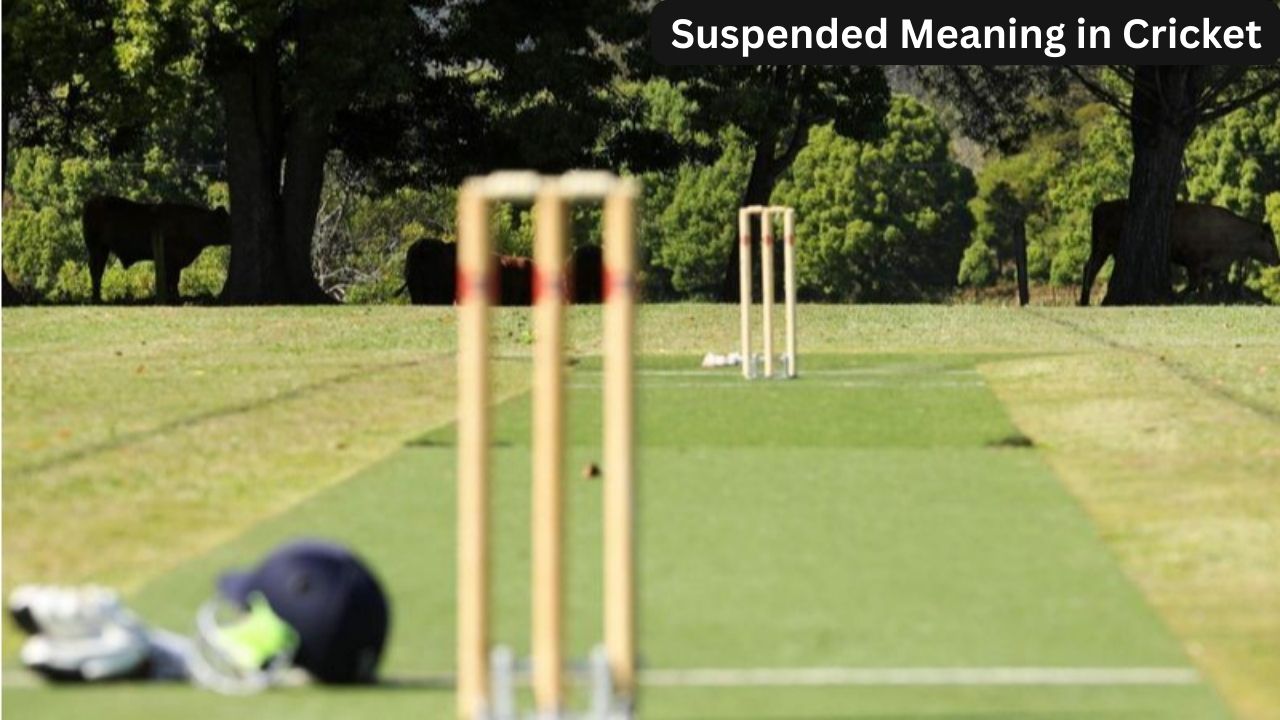 Suspended Meaning in Cricket